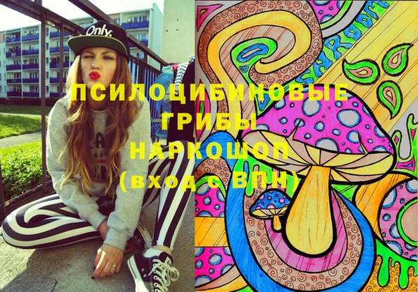 стафф Зеленодольск