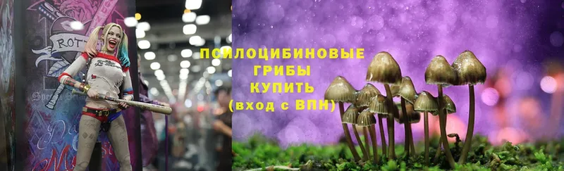 цена наркотик  Камышин  Галлюциногенные грибы Cubensis 