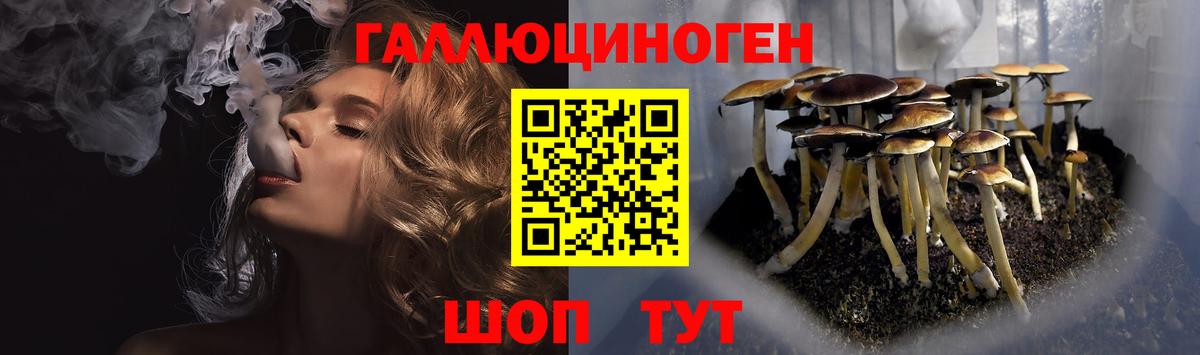 Псилоцибиновые грибы MAGIC MUSHROOMS Камышин